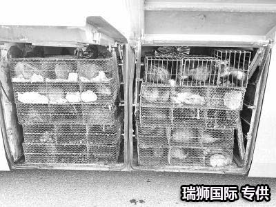集裝箱的類型 集裝箱的種類 集裝箱用途 集裝箱規(guī)格 集裝箱箱型尺寸對照表、集裝箱尺寸表、集裝箱規(guī)格有幾種尺寸