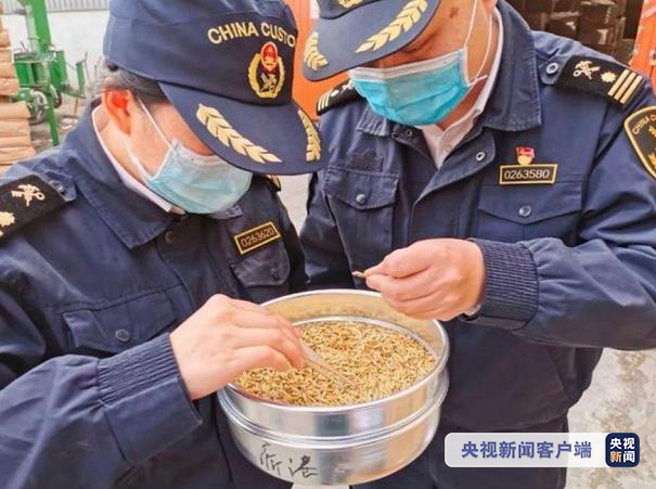 國際物流 國際貨運(yùn)代理 貨運(yùn)代理公司 航空國際貨運(yùn) ?？章?lián)運(yùn) 多式聯(lián)運(yùn)