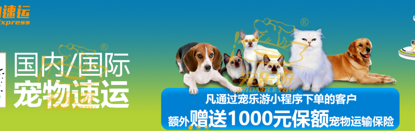 加拿大國際寵物托運(yùn)手續(xù)和托運(yùn)流程及注意事項(xiàng)