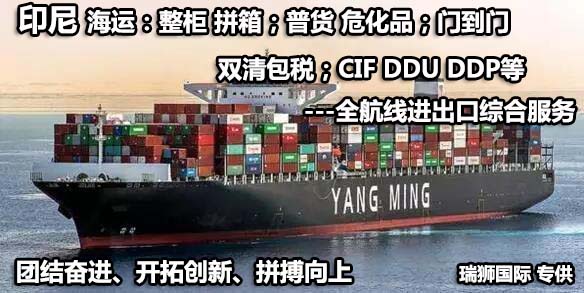 印尼貨貨運代理 印尼國際物流公司  印尼進出口報關(guān)公司 印尼國際貨運代理有限公司