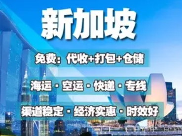 新加坡海運(yùn)專線 新加坡空運(yùn)價(jià)格 新加坡快遞查詢 新加坡?？砧F多式聯(lián)運(yùn)國(guó)際貨運(yùn)代理