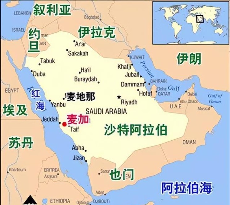 沙特專線 沙特海運船期查詢 沙特空運貨物追蹤 沙特?？章?lián)運雙清包稅門到門
