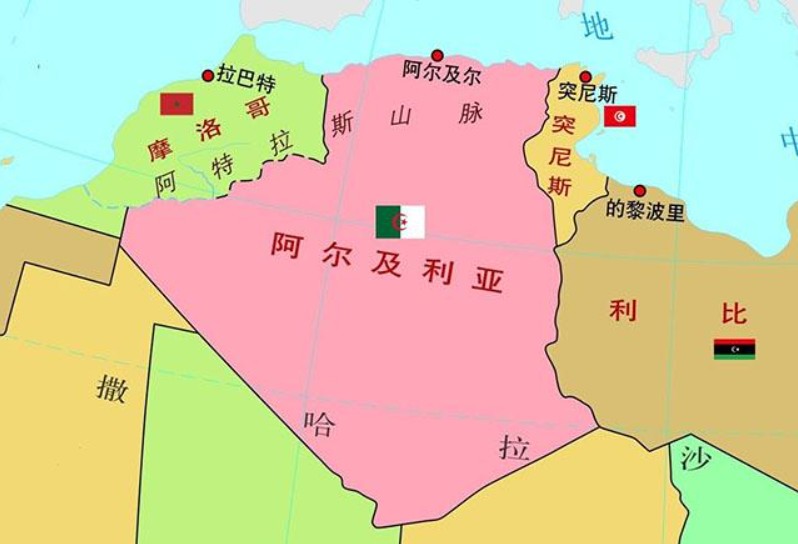 阿爾及利亞專線 阿爾及利亞海運船期查詢 阿爾及利亞空運貨物追蹤 阿爾及利亞?？章?lián)運雙清包稅門到門